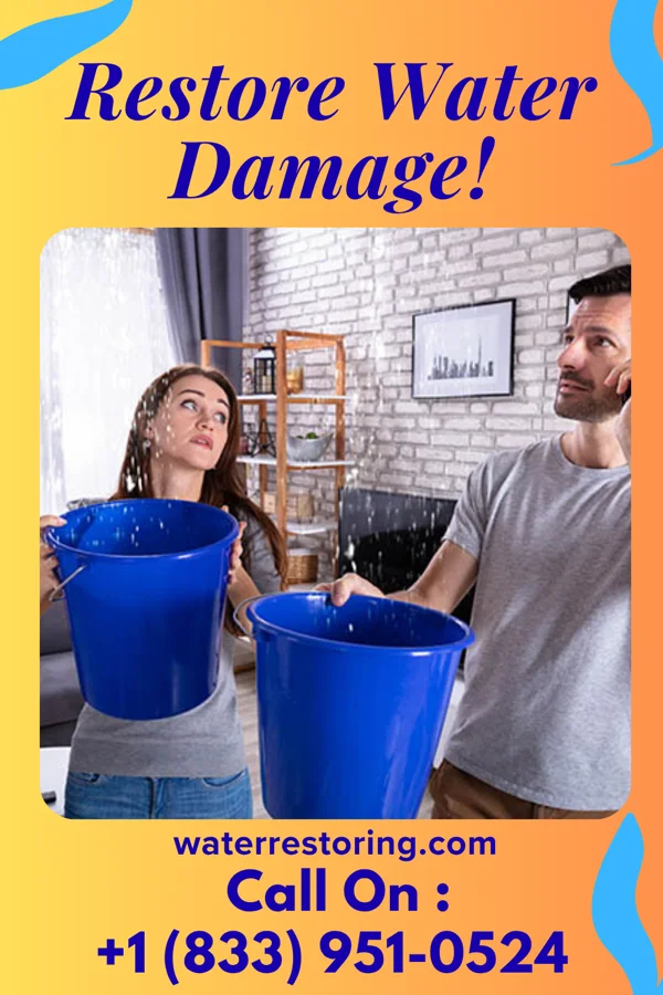 water restoration Premier Sewage Cleanup Crew Clarks Mills