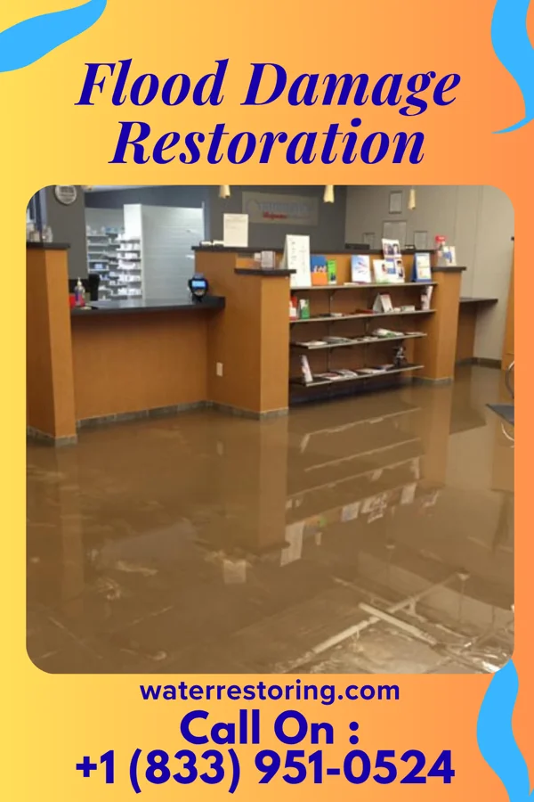 Flood Damage Restoration in Clarks Mills, WI