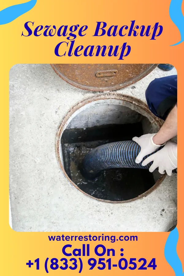 Sewage Backup Cleanup in Clarks Mills, WI